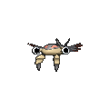 Anorith - X Y (Shiny)
