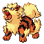 Arcanine - Ruby Sapphire (Normal)