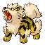 Arcanine - Ruby Sapphire (Shiny)