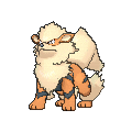 Arcanine - X Y (Normal)
