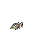 Arrokuda - Sword Shield