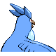 Articuno - Diamond Pearl (Back View (Shiny))
