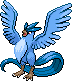 Articuno - Black 2 White 2 Black White Animated (Normal)