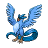 Articuno - Black White (Normal)