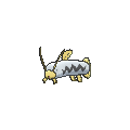 Barboach - X Y (Shiny)