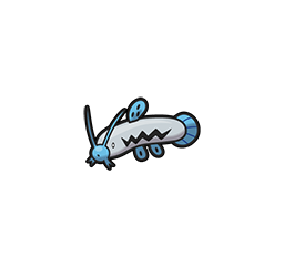 Barboach - Brilliant Diamond Shining Pearl