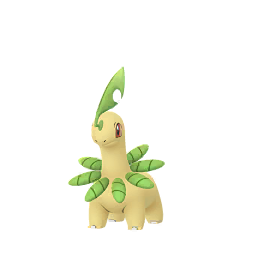 Bayleef - GO (Normal)