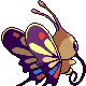 Beautifly - HeartGold SoulSilver (Back View (Shiny))