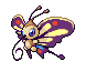 Beautifly - Black 2 White 2 Black White Animated (Shiny)