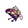 Beautifly - Black White (Back View (Shiny))