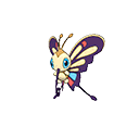 Beautifly - Bank (Shiny)