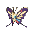Beautifly - X Y (Shiny)
