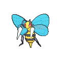Beedrill - X Y (Normal)
