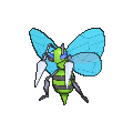 Beedrill - X Y (Shiny)
