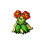 Bellossom - Ruby Sapphire (Normal)