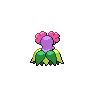Bellossom - Black White (Back View (Shiny))