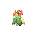 Bellossom - Omega Ruby Alpha Sapphire (Normal)