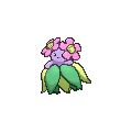 Bellossom - X Y (Shiny)