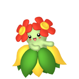 Bellossom - Home