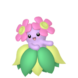 Bellossom - Home