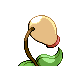 Bellsprout - Platinum (Back View)