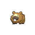 Bidoof - X Y (Normal)