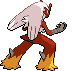 Blaziken - Black 2 White 2 Black White Animated (Back View (Shiny))
