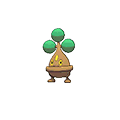 Bonsly - Omega Ruby Alpha Sapphire (Normal)