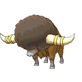 Bouffalant - Omega Ruby Alpha Sapphire (Normal)