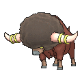 Bouffalant - X Y (Shiny)