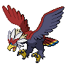 Braviary - Black White (Normal)
