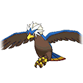 Braviary - Omega Ruby Alpha Sapphire (Shiny)