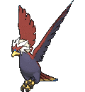 Braviary - X Y (Normal)
