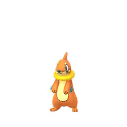 Buizel - GO (Normal)