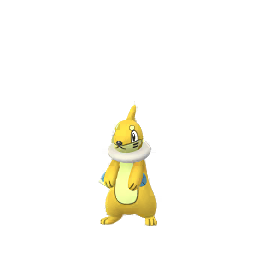 Buizel - GO (Shiny)