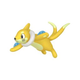 Buizel - Home