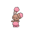 Buneary - X Y (Shiny)