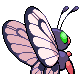 Butterfree - HeartGold SoulSilver (Back View (Shiny))