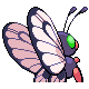 Butterfree - Platinum (Back View (Shiny))