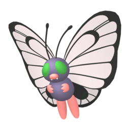 Butterfree - Home