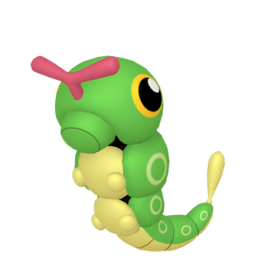 Caterpie - Home