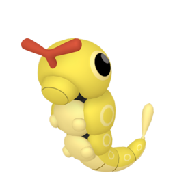 Caterpie - Home