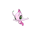Celebi - Bank