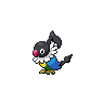 Chatot - Black White (Normal)