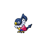 Chatot - Black White (Shiny)