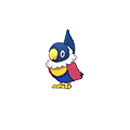 Chatot - Omega Ruby Alpha Sapphire (Shiny)