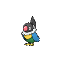 Chatot - X Y (Normal)