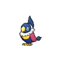 Chatot - X Y (Shiny)
