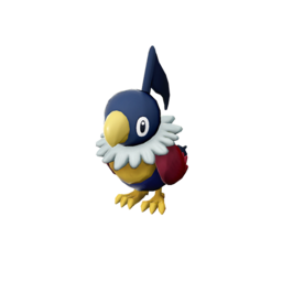 Chatot - Legends_ Arceus
