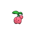 Cherubi - X Y (Normal)